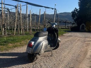 Vespa V50 Seitenansicht mit italienischem Kennzeichen
