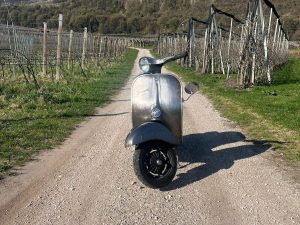 Devids elektrifizierte prosimo Vespa V50 1974 in der südtiroler Weinlandschaft